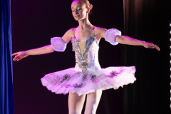 DANSE-3542