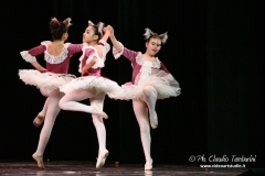 DANSE-5716