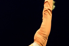 DANSE-5772