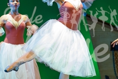 DANCE-3613