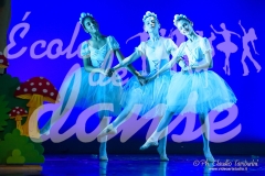 DANCE-4816