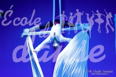 DANCE-5008